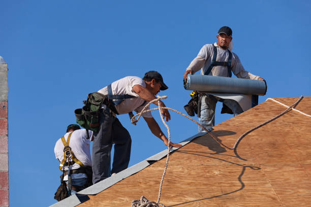 Best Flat Roof Repair Services  in Hoffman Estates, IL